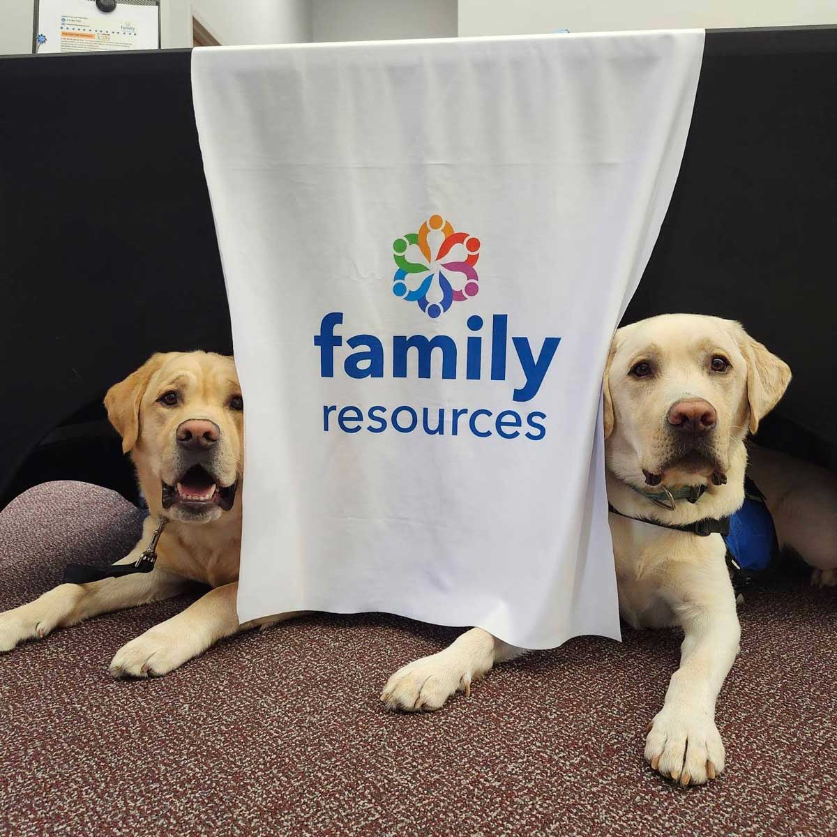 Photo of two yellow labs named Mac and Cheese surrounding a banner that reads Family Resources